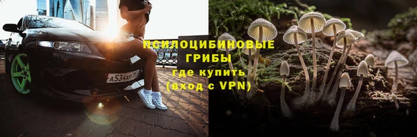 ECSTASY Строитель