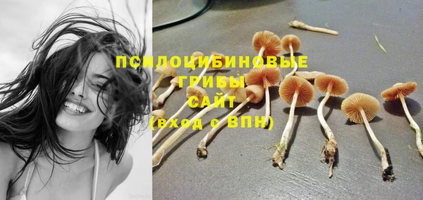 гашик Ханты-Мансийск