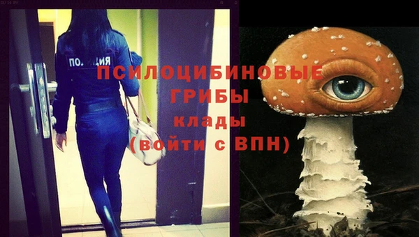 mdpv Струнино