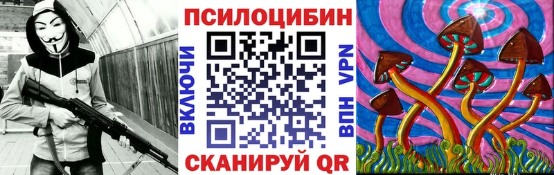 купить  сайты  Судак  Галлюциногенные грибы ЛСД 