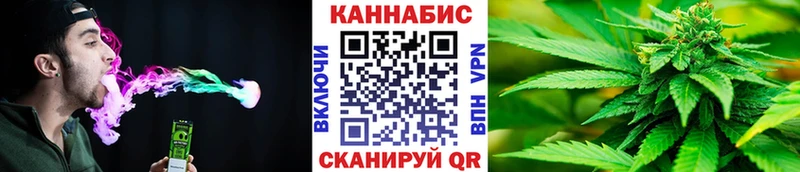 Канабис OG Kush  Судак 
